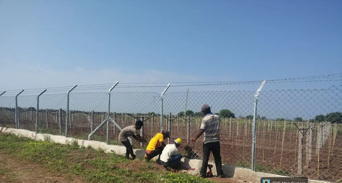 Crew installing chain-link perimeter fencing with barbed wire around the plant boundary